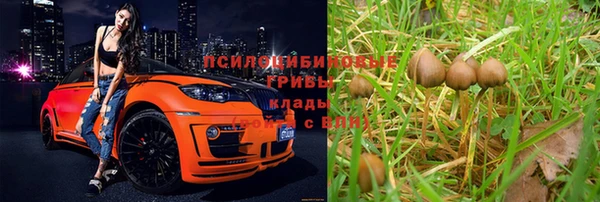 ешки Кинешма