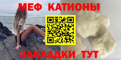прущие грибы Будённовск