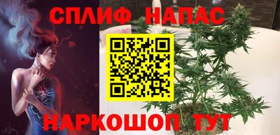 прущие грибы Будённовск
