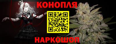 прущие грибы Будённовск