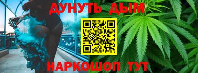 прущие грибы Будённовск