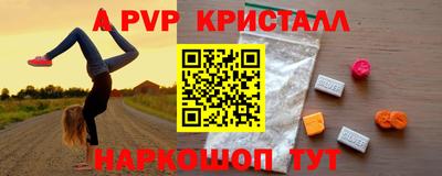 прущие грибы Будённовск