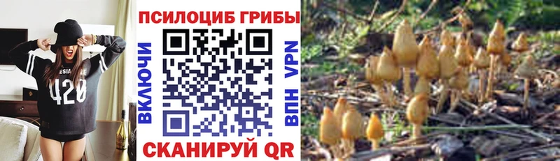 Галлюциногенные грибы мухоморы  Кизляр 