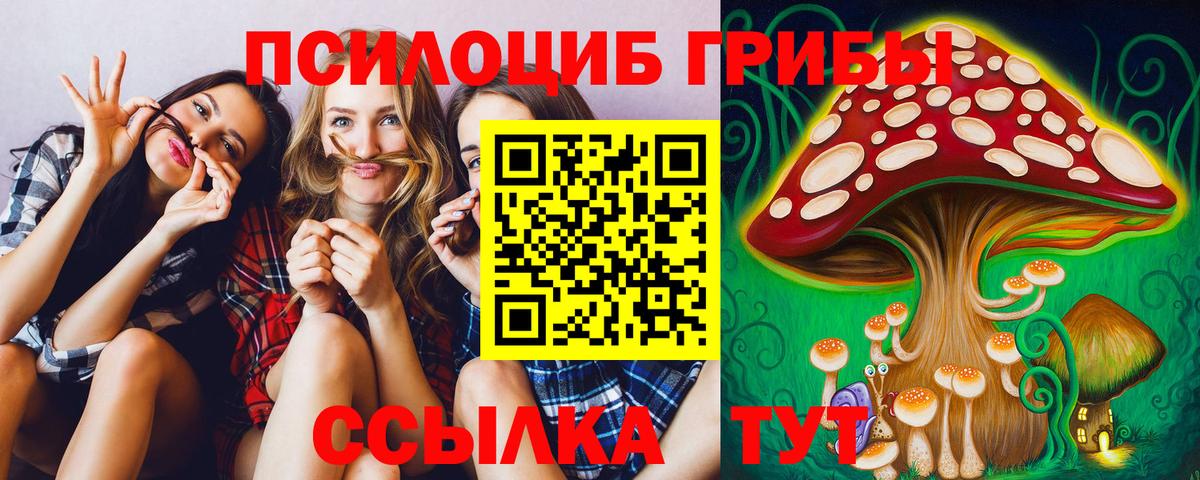 Псилоцибиновые грибы Magic Shrooms  Галлюциногенные грибы MAGIC MUSHROOMS  Кизляр  купить  сайты  Вход с VPN 