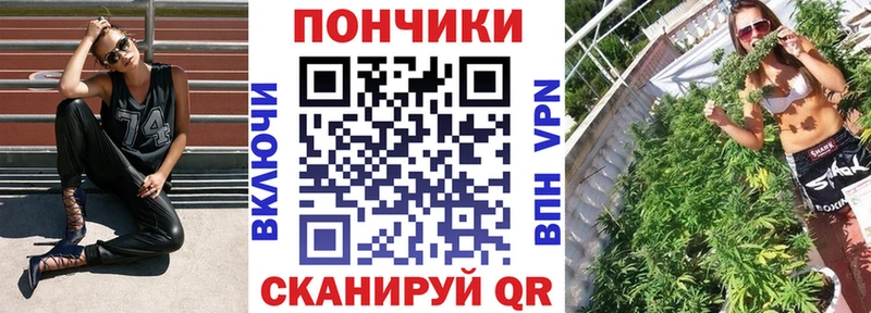Бошки марихуана Ganja  продажа наркотиков  Кизляр 